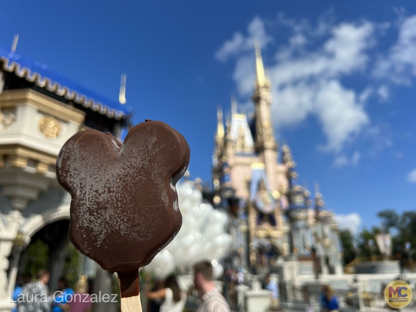 Walt Disney World Railroad Testing Spotted at Magic Kingdom :  r/WaltDisneyWorld