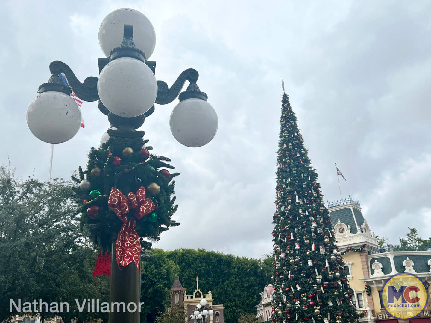 PHOTOS: New Wonderland Tea Collection Brews at the Disneyland Resort - WDW  News Today