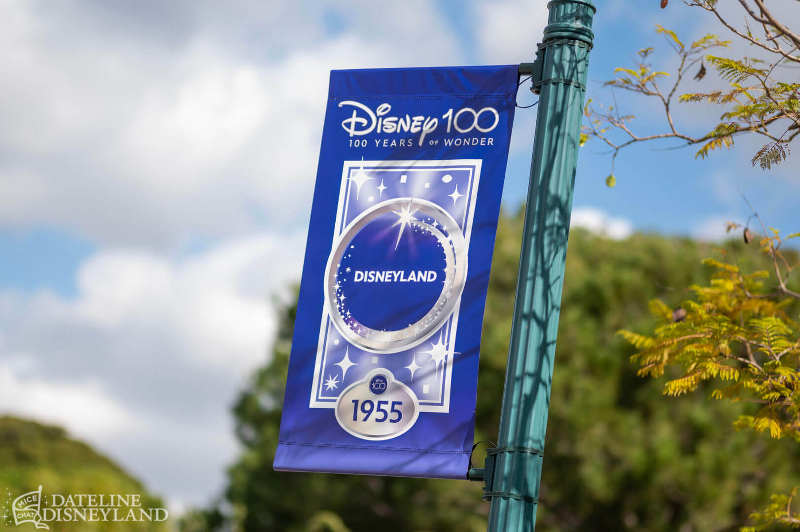 I JUST NEED THAT CARD. #disney100, disney 100