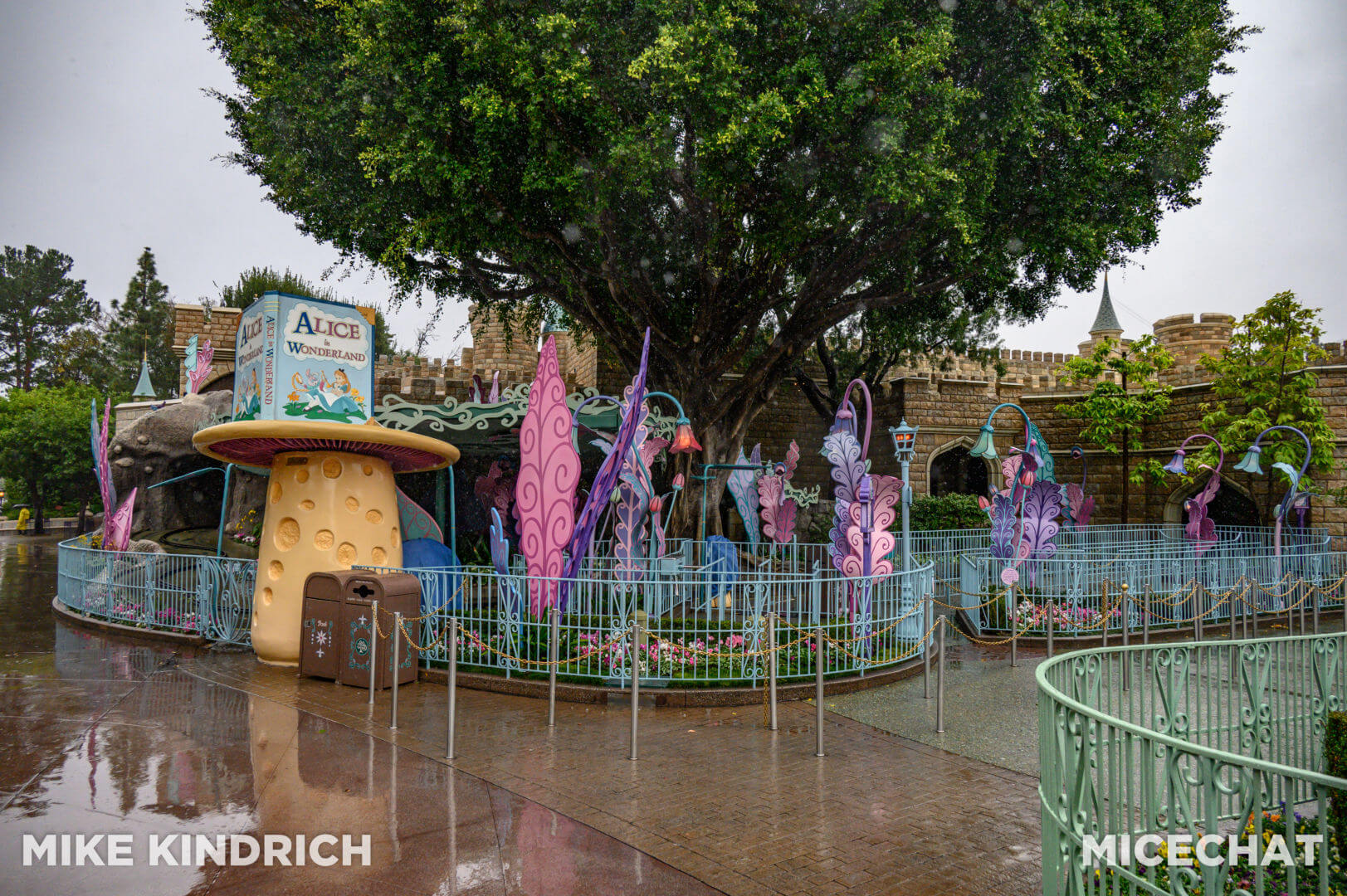 https://www.micechat.com/wp-content/uploads/2023/01/Disneyland_Fantasyland_Alice-Closed-Queue_Rain-1-of-1.jpg