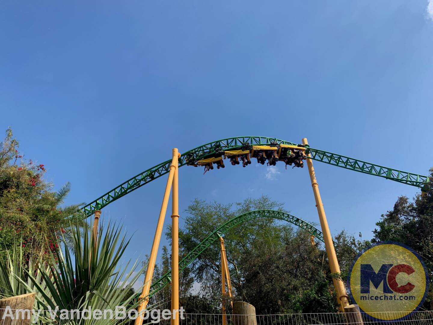 Busch Gardens cheetahs cheer on Lightning with 'Stanley Cup' treat