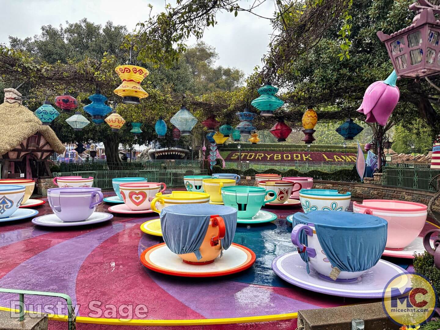 PHOTOS: NEW “Alice in Wonderland” Tea Cup Mug and Folding Fan Available in  Downtown Disney District - Disneyland News Today