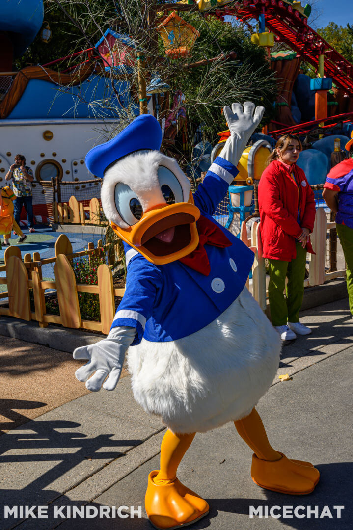 Disneylandtoontowndonald 1 Of 1 Micechat