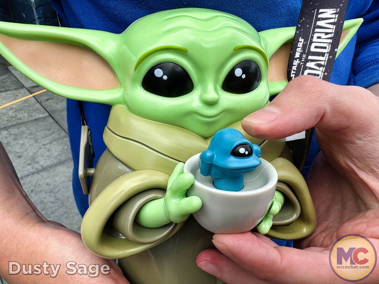 PHOTOS: NEW Grogu Sipper Available at Disneyland Park for Star Wars Month -  Disneyland News Today