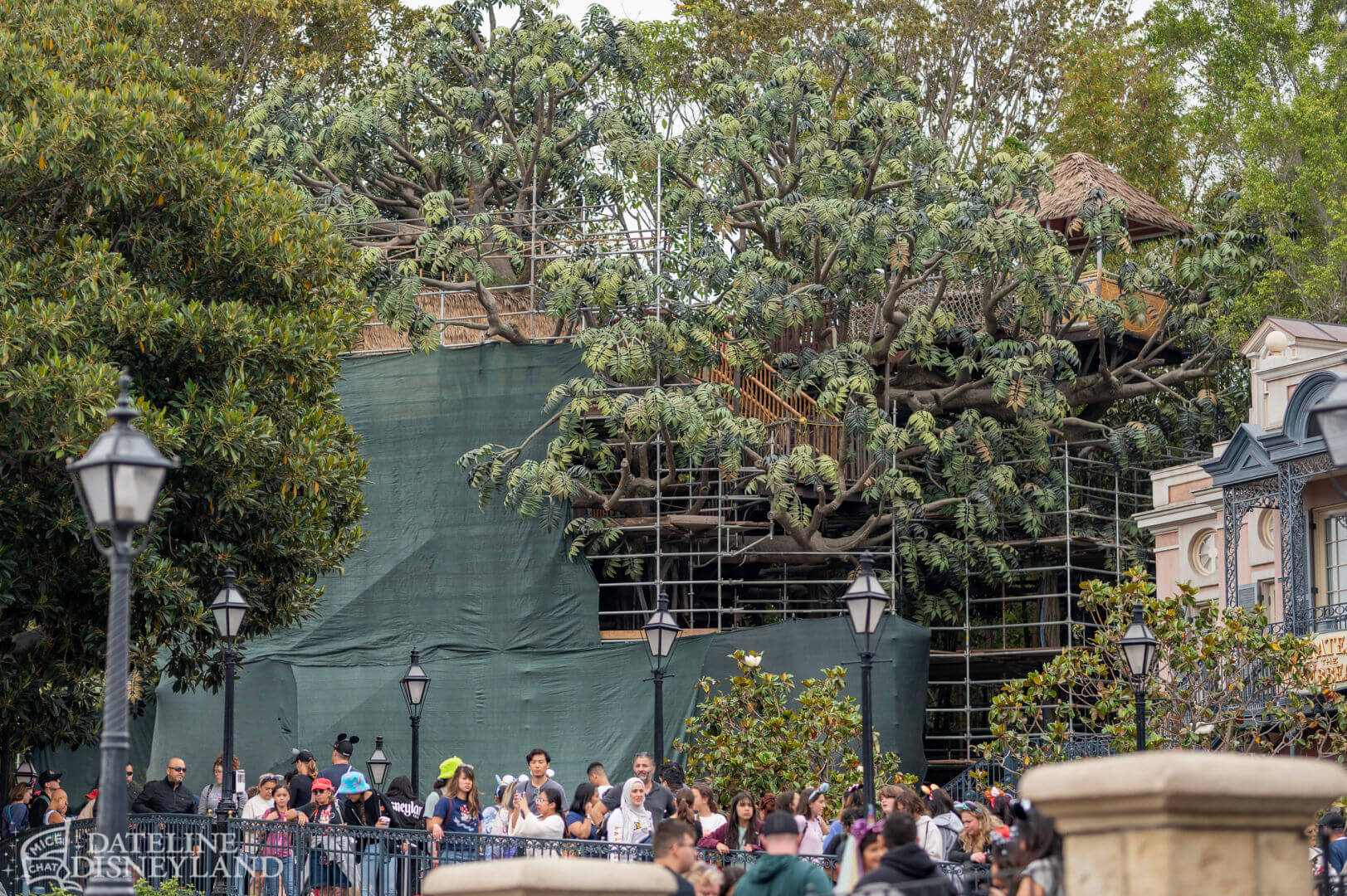 MiceChat - Dateline Disneyland, Disneyland, Disneyland Resort, Features -  Disneyland Update: Toot-Toot, Groot, Splish & Splash!