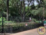 busch gardens tampa fence