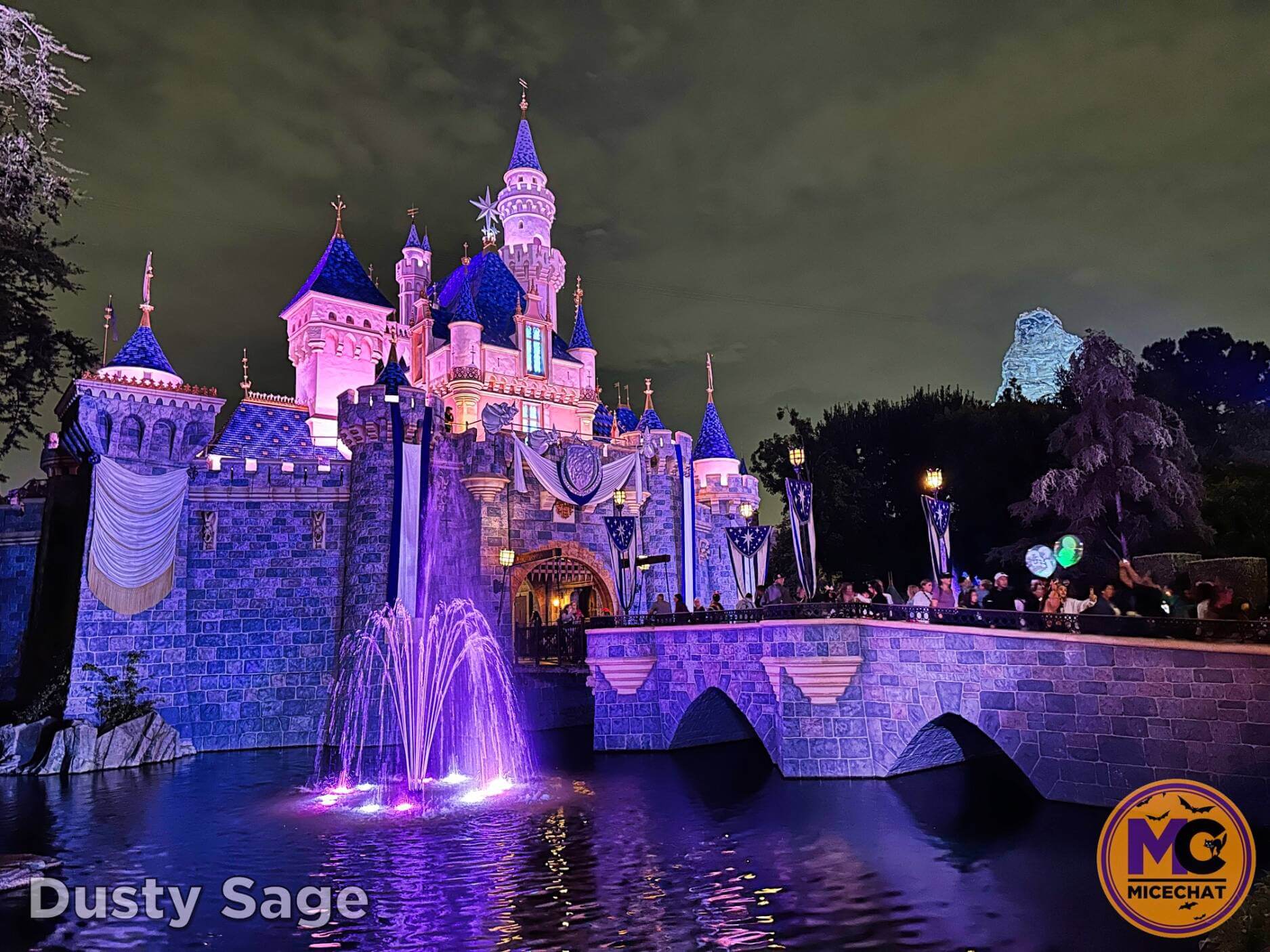 https://www.micechat.com/wp-content/uploads/2023/09/Disneyland-News-Beauty-Castle-fountains-night-MiceChat.jpeg