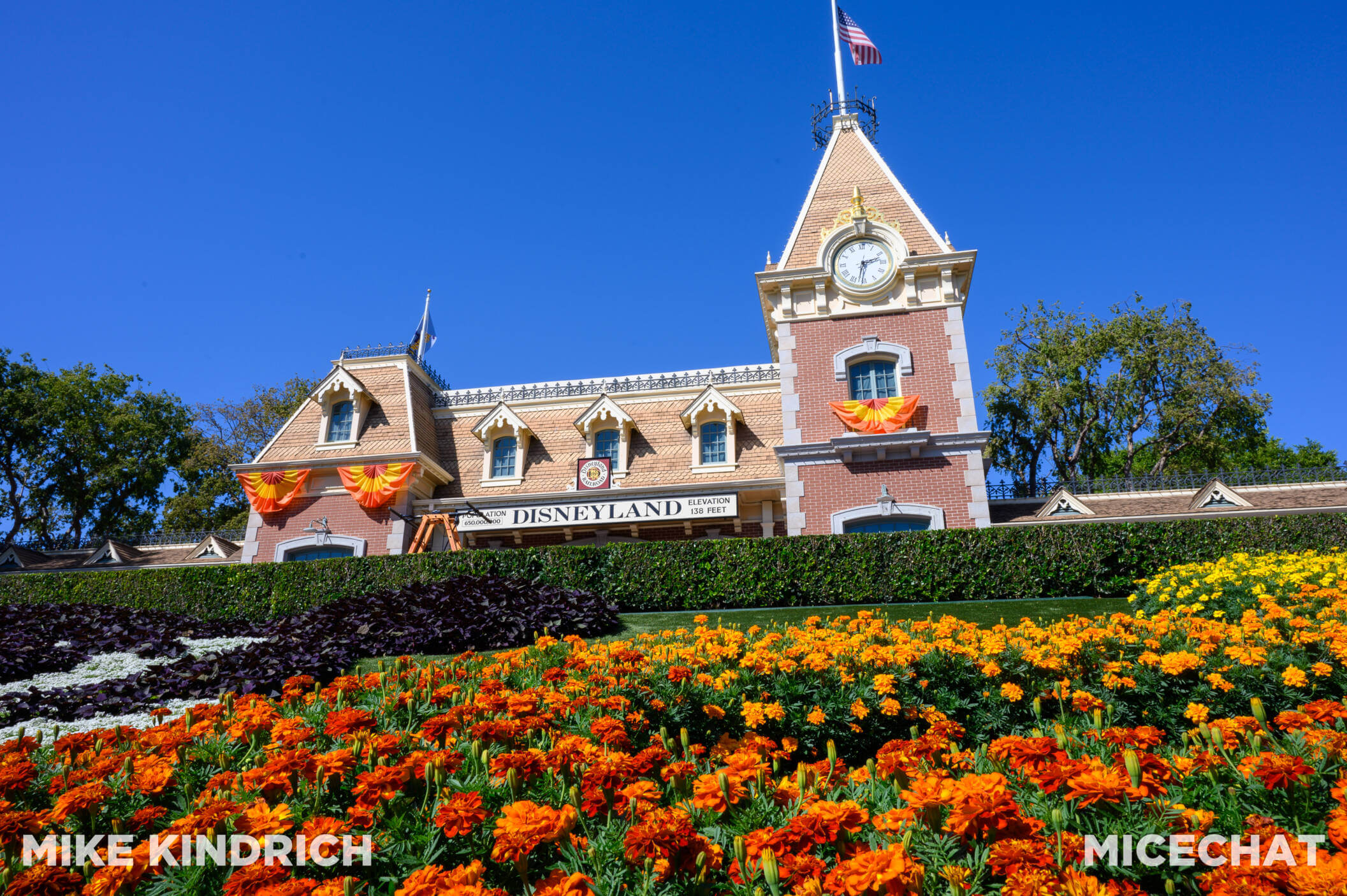 All About Disneyland's Reservation System 2024 (Still Required!)