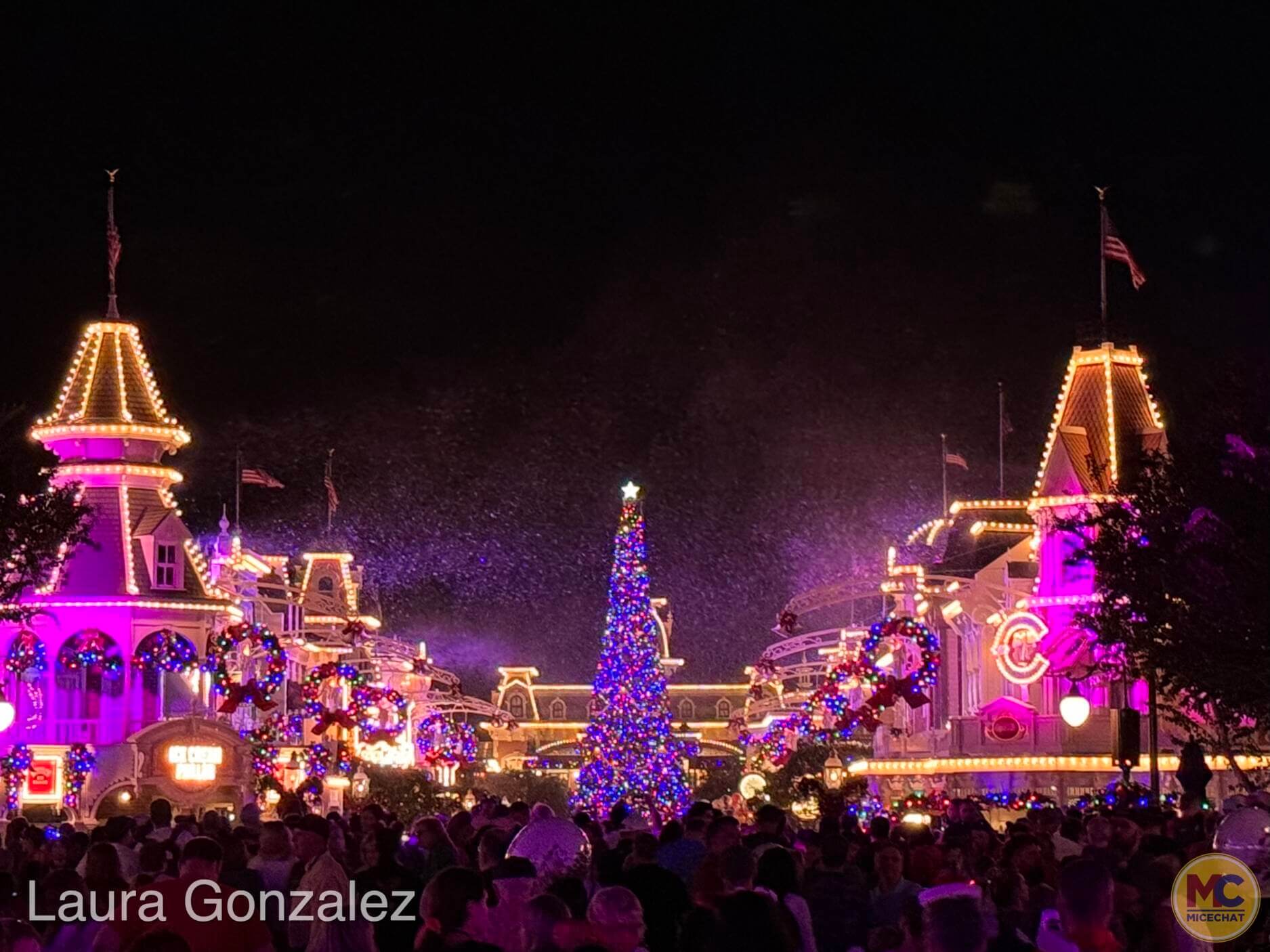 Walt Disney World Holiday Guide