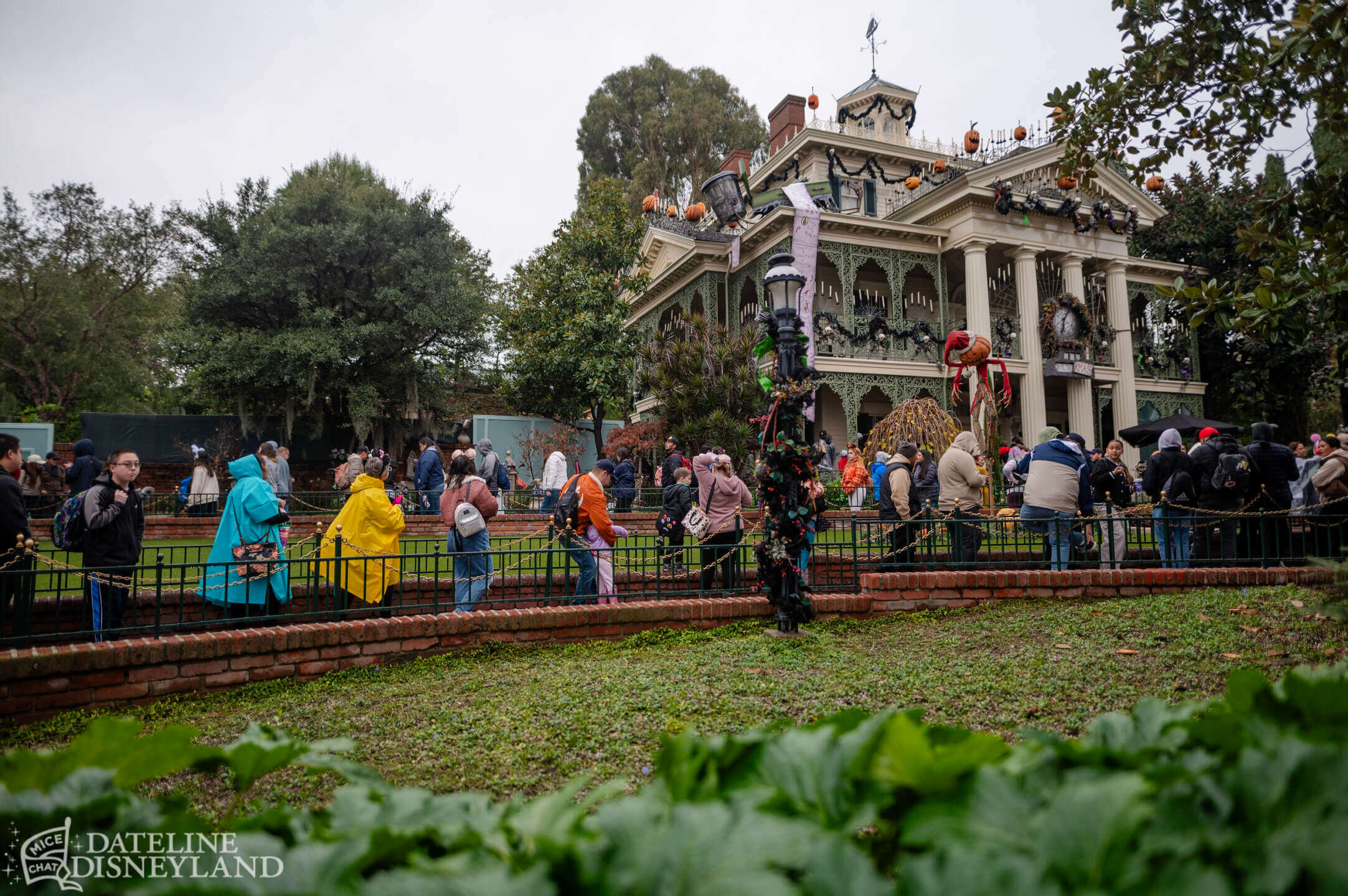 Disneyland Haunted Mansion Holiday Queue DSC 2846 X5 MiceChat   Disneyland Haunted Mansion Holiday Queue DSC 2725 X5 