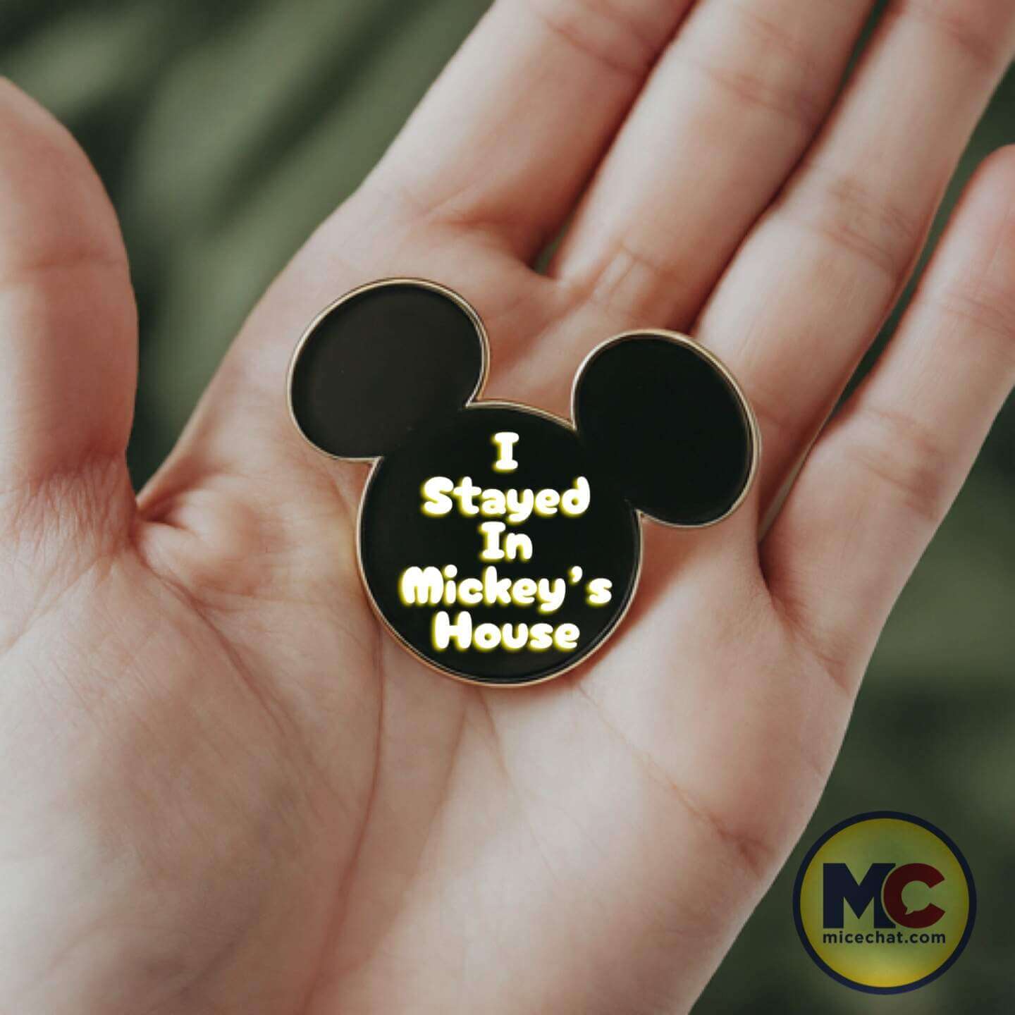 Disney B&B Pin April Fools - MiceChat