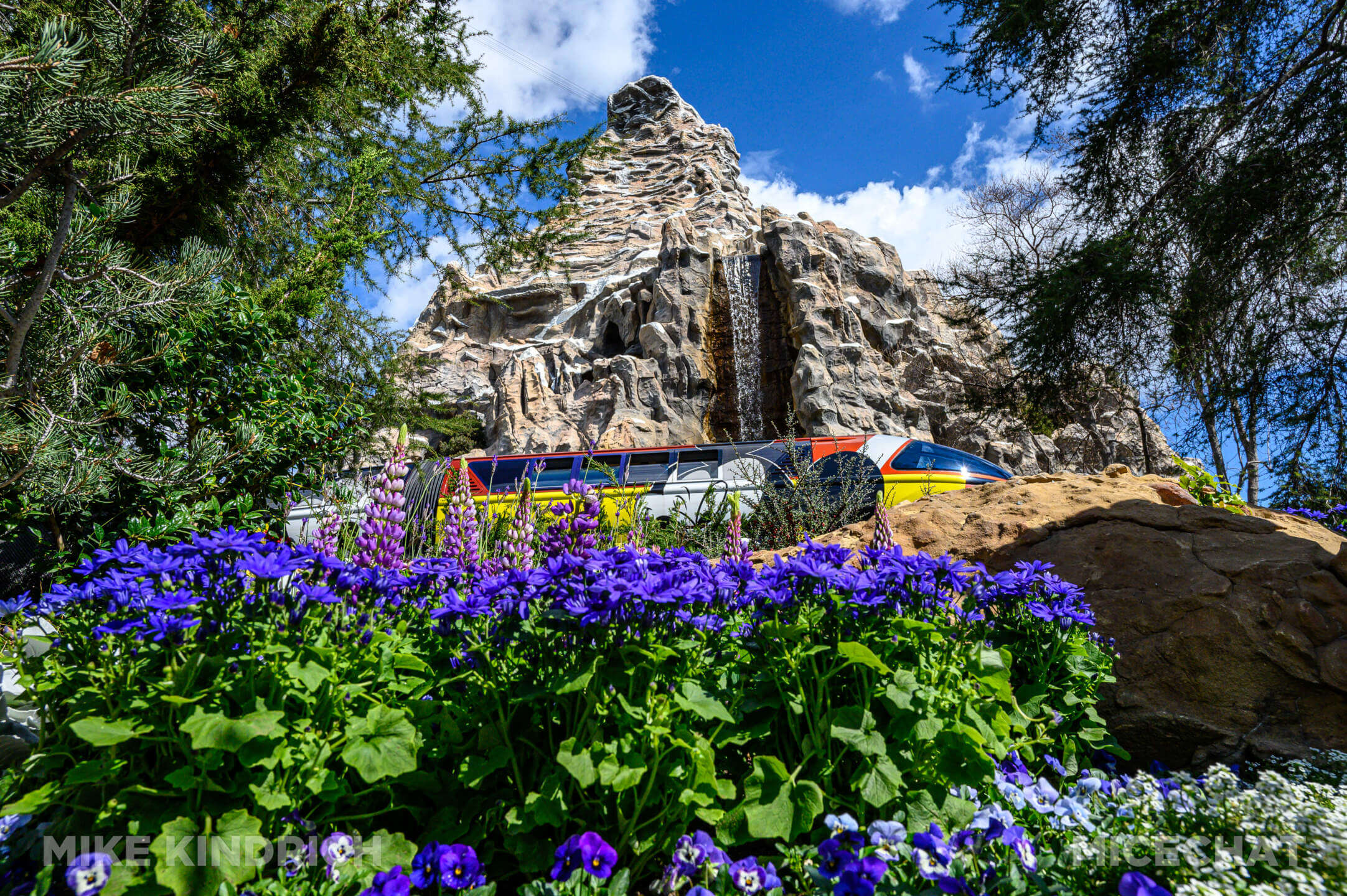 DISNEYLAND UPDATE: Balancing Magic with Reality - Spring Surprises &  Disappointments